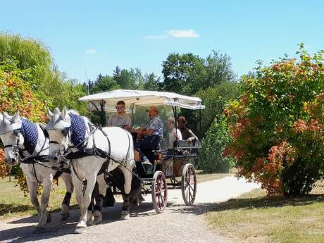 Balade en Calèche à La Borde