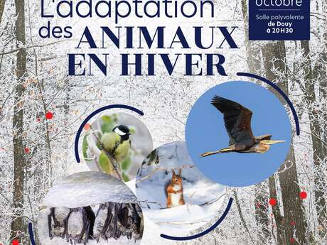 Conférence - L'adaptation des animaux à l'hiver