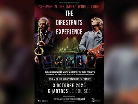 Concert : The Dire Straits Experience