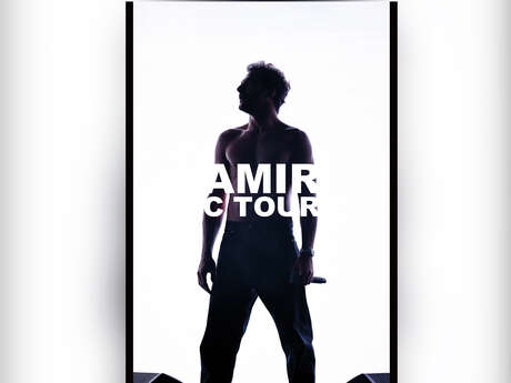 Concert : C Amir Tour