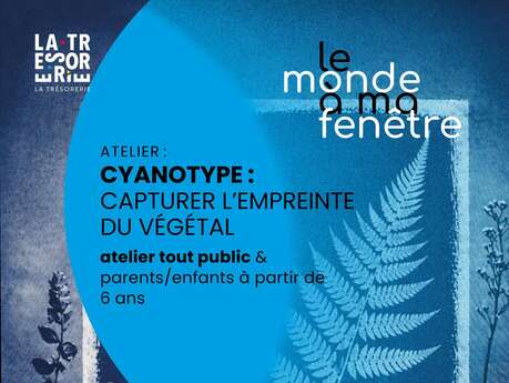 Atelier cyanotype : capturer l'empreinte du végétal