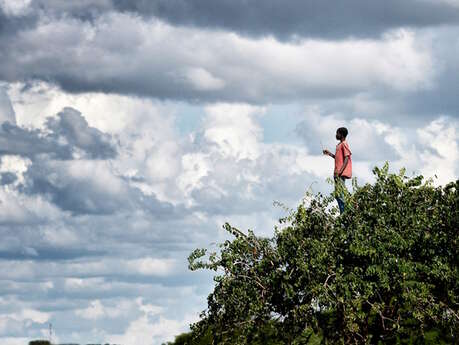 Aragon : de la chanson au poème