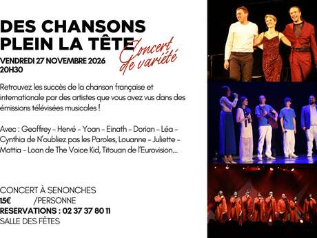 Concert - Des Chansons Plein la Tête