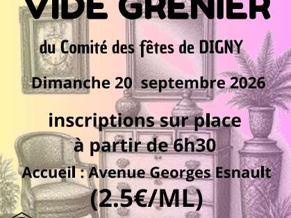 Vide Grenier - Digny