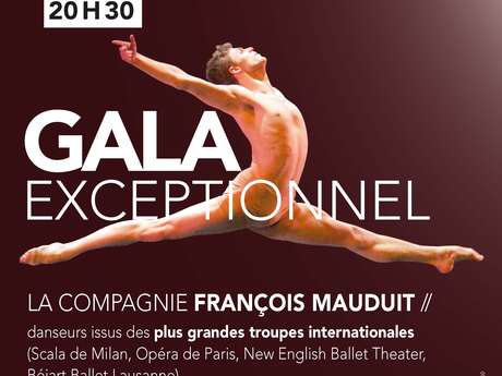 Danse : Gala exeptionnel "compagnie François Mauduit - ballet action danse" présenté par Sylvie Hermeline