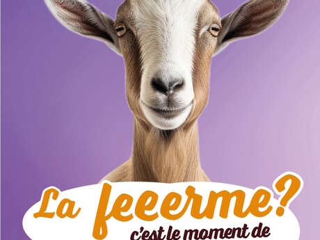 Visite de ferme – Les Ruches de Beauce