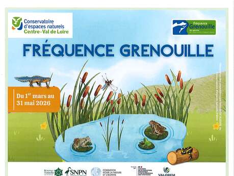 Fréquence Grenouille