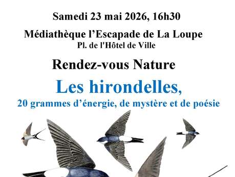 Rendez-vous nature Les Hirondelles