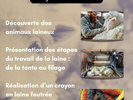 Atelier Laine