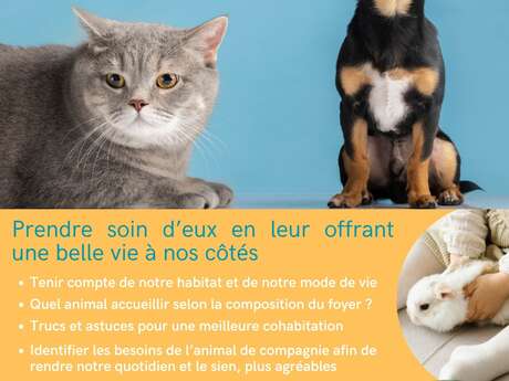 Nos animaux domestiques