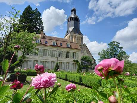Visites thématiques "Les mystères du jardin"