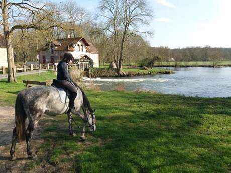 Promenades à cheval