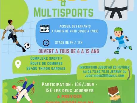 Stage Judo & Multisports