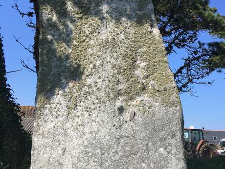 Menhir du Reun