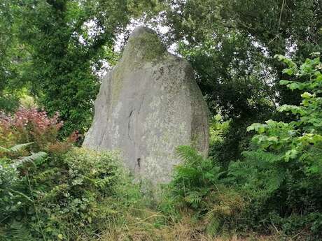 Menhir de Kerscaven dit de la Vierge