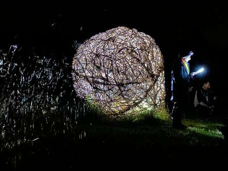 Les rendez-vous nature - Nocturne artistique Les rendez-vous nature - Nocturne artistique