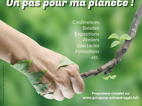 L'impact du changement climatique sur nos forêts L'impact du changement climatique sur nos forêts
