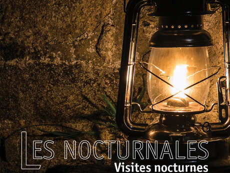 Les Nocturnales (visite guidée nocturne exclusive)