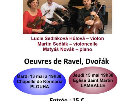 Concert classique : kinsky trio