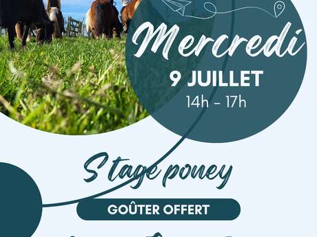 Stage d'équitation à poney