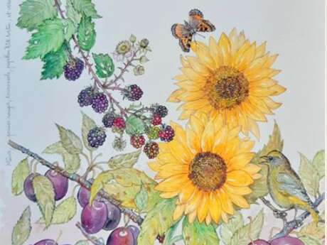 Exposition : Fleurs, légumes et quelques arbres