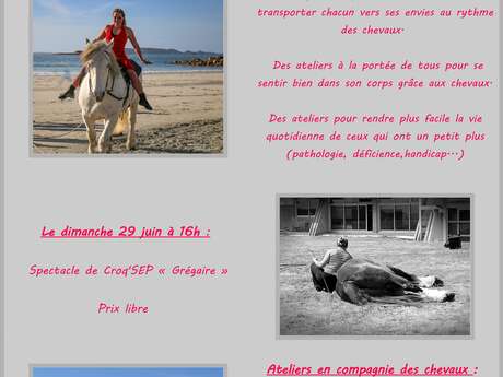 Ateliers en compagnie des chevaux