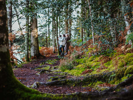 Bois de Roscouré