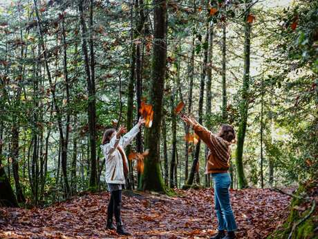 Les rendez-vous nature - Balade chantée dans les bois