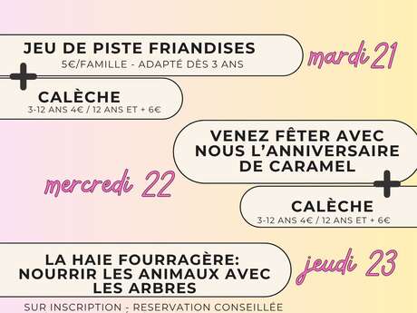 Jeu de piste friandises