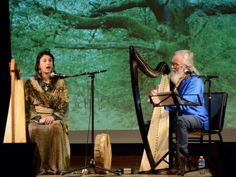 Concert de musique celtique : TREES FOR TWO