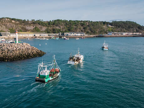 Retour de pêche à la Coquille Saint-Jacques