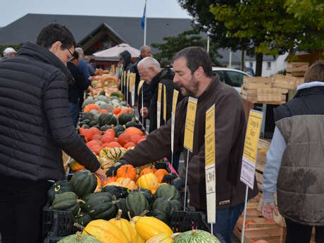 Marché aux Cucurbitacées Marché aux Cucurbitacées