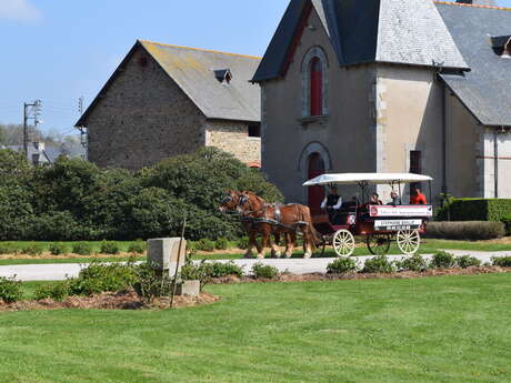 Visite découverte et balade en calèche