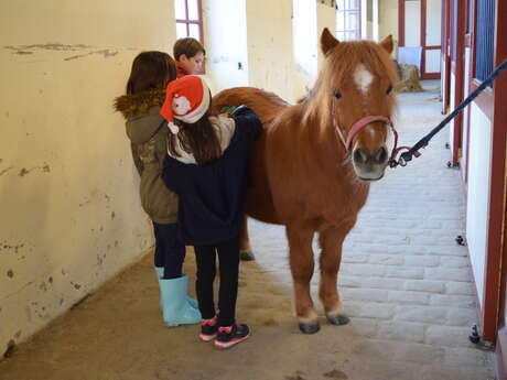 Matinée au Haras Matinée au Haras