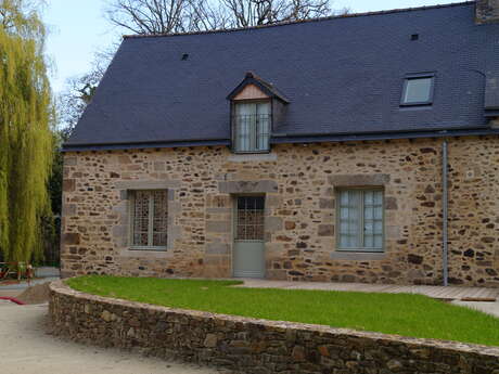 Les Anémones