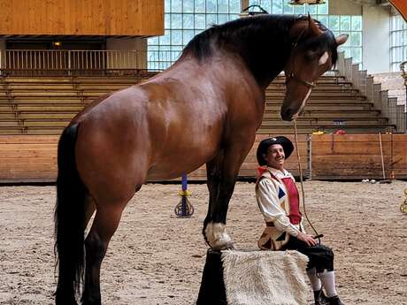 Démonstration équestre au Haras - "Présentation des races"