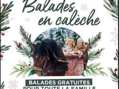 Balades en Calèche