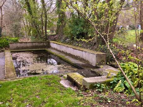 Fontaine et lavoir du Rhu