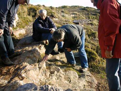 Géologie et paysages du Cap Fréhel