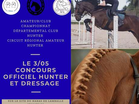 Concours Hunter / dressage