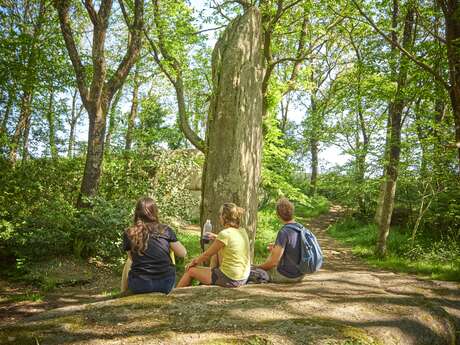 Menhirs de Lespurit Ellen