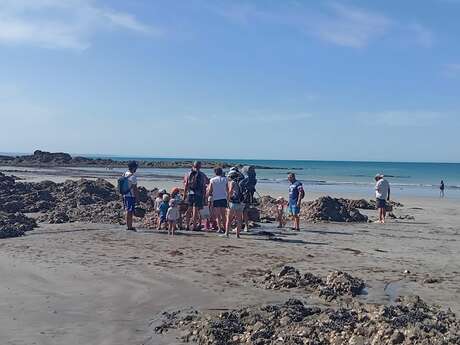 Sortie nature avec Monsieur Jean - Panier de Crabes
