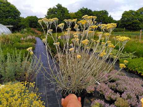 Le Jardin du Bout du Monde