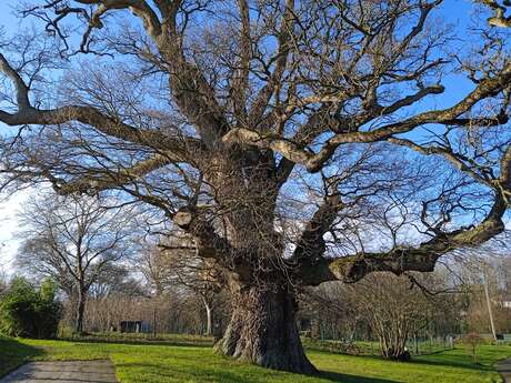 Elle était une voix - Lectures en nature