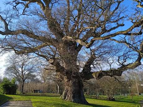Elle était une voix - Lectures en nature