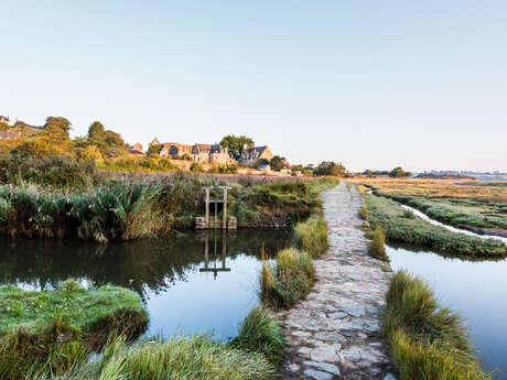 Balade inspirante - le littoral : paysages, poésies et biodiversité Balade inspirante - le littoral : paysages, poésies et biodiversité