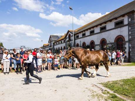 Haras National de Lamballe