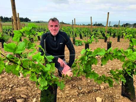 Visite du vignoble des Terres-neuvas