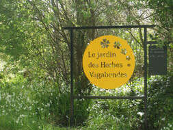 Visite sensorielle et contée du jardin "Les Herbes vagabondes"