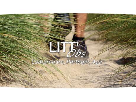 Litt'Obs - Sorties nature